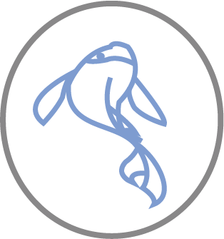 png12